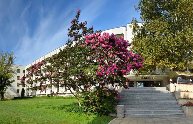 lebed-4